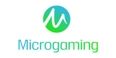 Microgaming Network